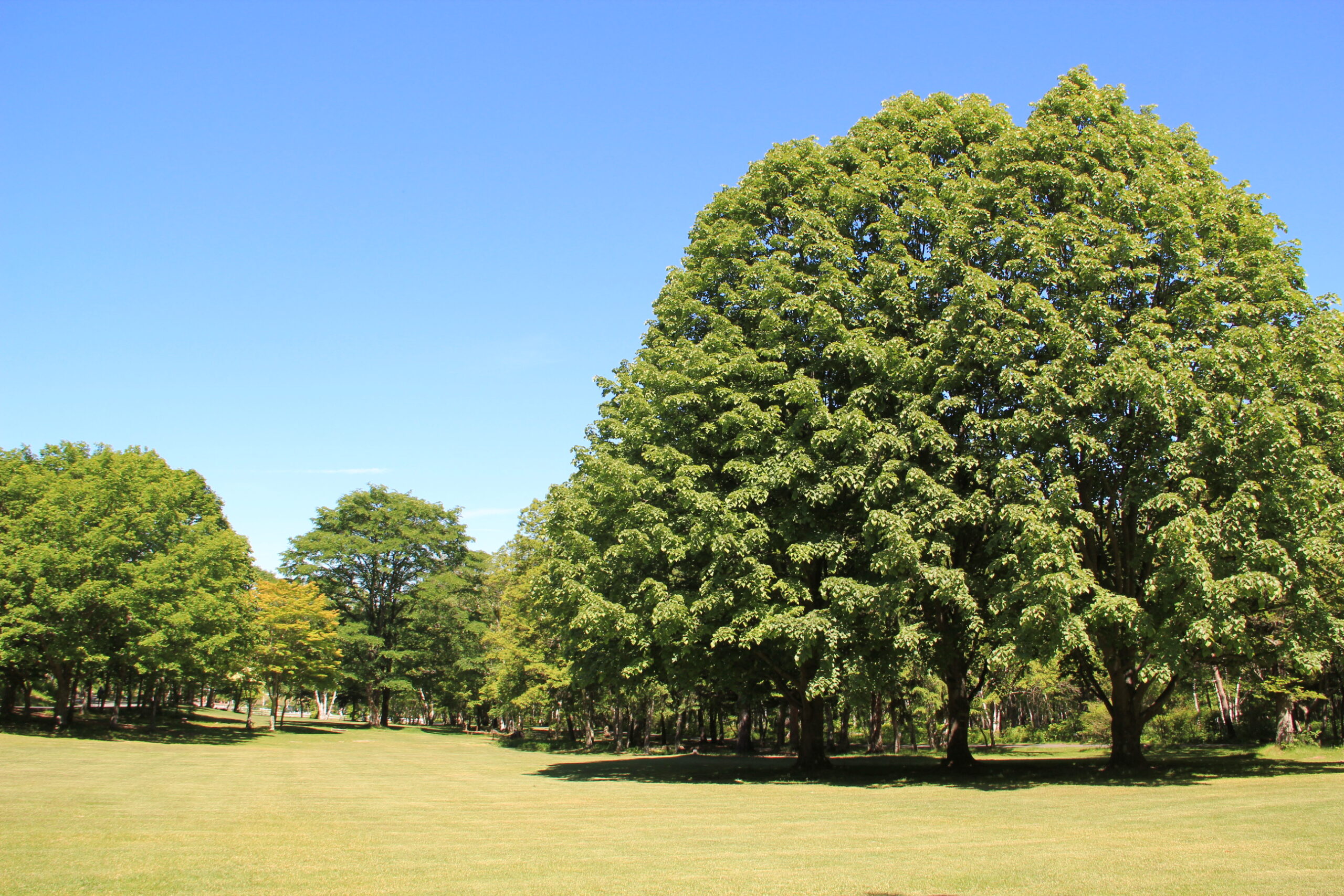 八ヶ岳自然文化園