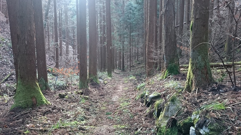 与川道/歴史の道（南木曽町読書　与川～　南木曽町/大桑村境　根の上峠）