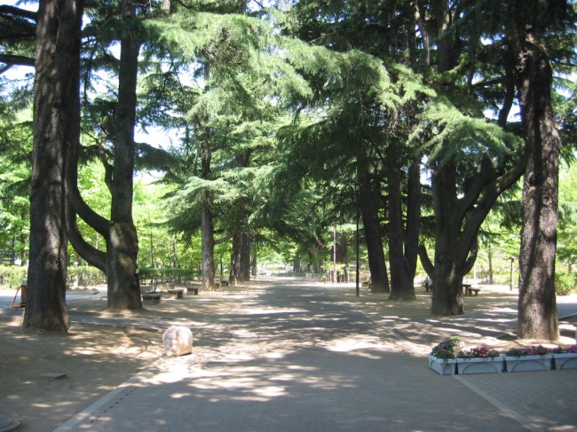 あがたの森公園