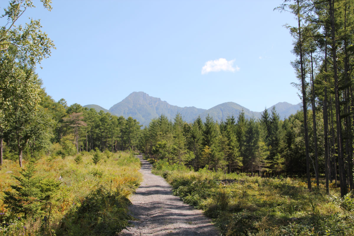 八ヶ岳の小径（こみち）