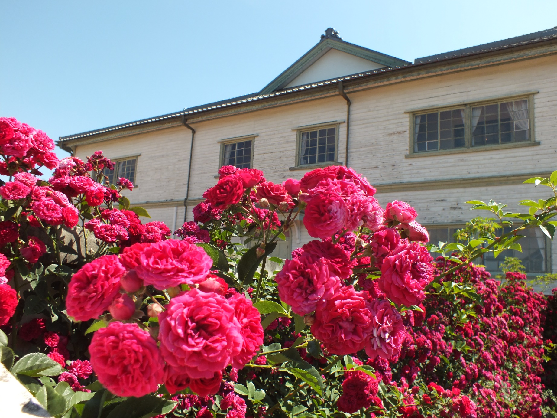 中野市一本木公園