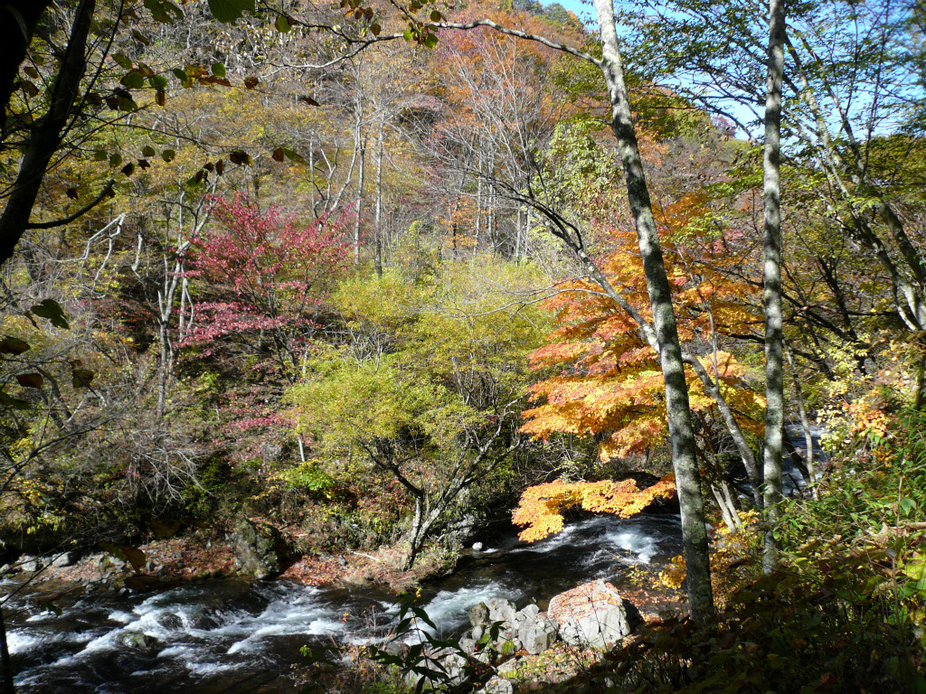本沢渓谷
