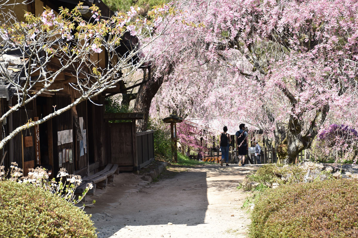 一石栃立場茶屋　無料休憩所